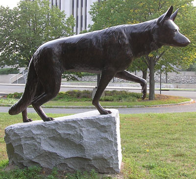 The War Dog Memorial